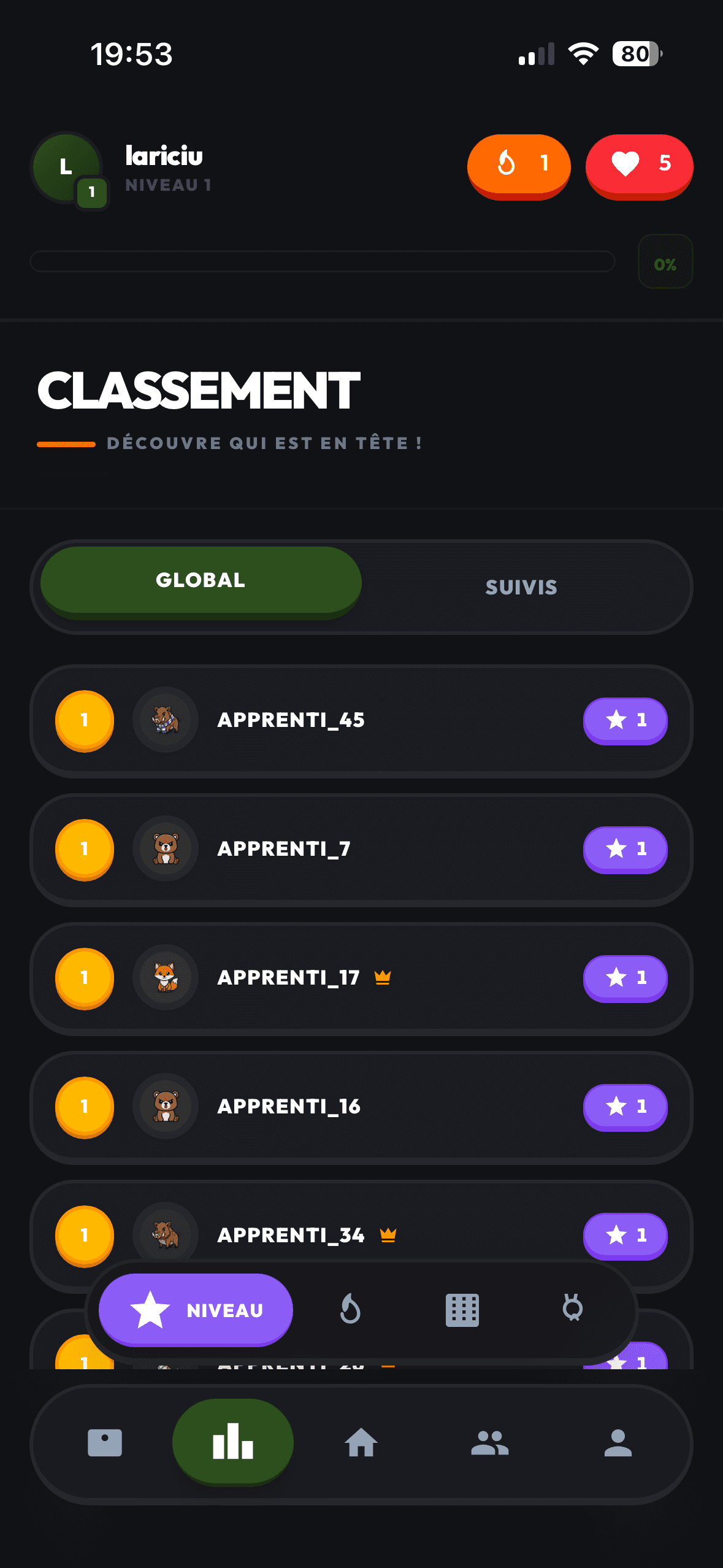 Le classement des apprenants dans Lariciu